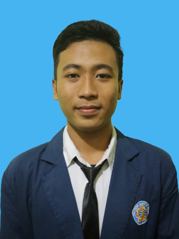 M. Rofiq Aulia